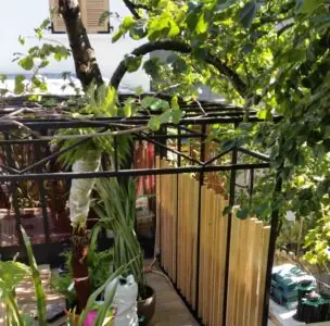 Pergola jardin de ville